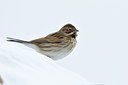 BUITEN BEELD Foto: 79429