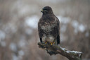 BUITEN BEELD Foto: 79460