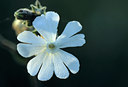 BUITEN BEELD Foto: 79543