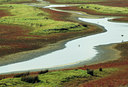 BUITEN BEELD Foto: 79577