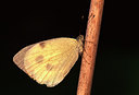 BUITEN BEELD Foto: 79591