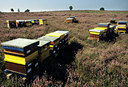 BUITEN BEELD Foto: 79592