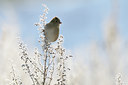 BUITEN BEELD Foto: 79606