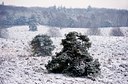 BUITEN BEELD Foto: 79626