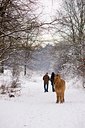 BUITEN BEELD Foto: 79663