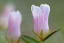 BUITEN BEELD Foto: 79816
