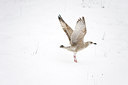 BUITEN BEELD Foto: 79840