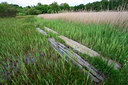 BUITEN BEELD Foto: 79900