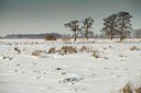 BUITEN BEELD Foto: 79994