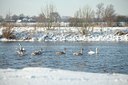 BUITEN BEELD Foto: 80010
