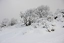 BUITEN BEELD Foto: 80036
