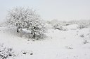 BUITEN BEELD Foto: 80057