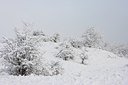 BUITEN BEELD Foto: 80059