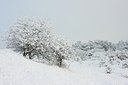 BUITEN BEELD Foto: 80061