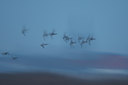 BUITEN BEELD Foto: 80073