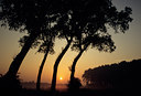 BUITEN BEELD Foto: 80108