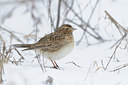 BUITEN BEELD Foto: 80144