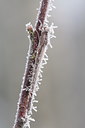 BUITEN BEELD Foto: 80172