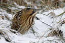 BUITEN BEELD Foto: 80178