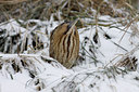 BUITEN BEELD Foto: 80180