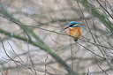 BUITEN BEELD Foto: 80191