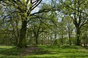 BUITEN BEELD Foto: 80199