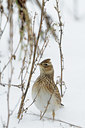 BUITEN BEELD Foto: 80222