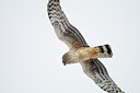 BUITEN BEELD Foto: 80234
