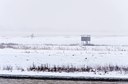 BUITEN BEELD Foto: 80271