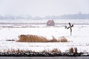 BUITEN BEELD Foto: 80272