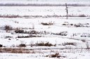 BUITEN BEELD Foto: 80274