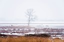 BUITEN BEELD Foto: 80275