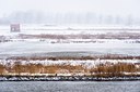 BUITEN BEELD Foto: 80276