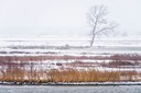 BUITEN BEELD Foto: 80277