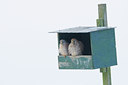 BUITEN BEELD Foto: 80368
