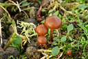 BUITEN BEELD Foto: 80387