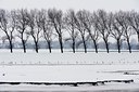 BUITEN BEELD Foto: 80395