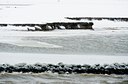 BUITEN BEELD Foto: 80396
