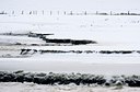 BUITEN BEELD Foto: 80397
