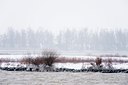 BUITEN BEELD Foto: 80421