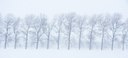BUITEN BEELD Foto: 80433