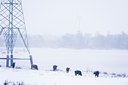 BUITEN BEELD Foto: 80440