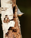 BUITEN BEELD Foto: 80469