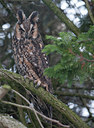 BUITEN BEELD Foto: 80475