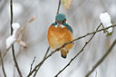 BUITEN BEELD Foto: 80492