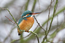 BUITEN BEELD Foto: 80510