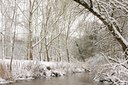 BUITEN BEELD Foto: 80647