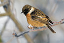 BUITEN BEELD Foto: 80736