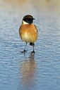 BUITEN BEELD Foto: 80738
