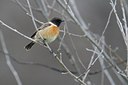 BUITEN BEELD Foto: 80744